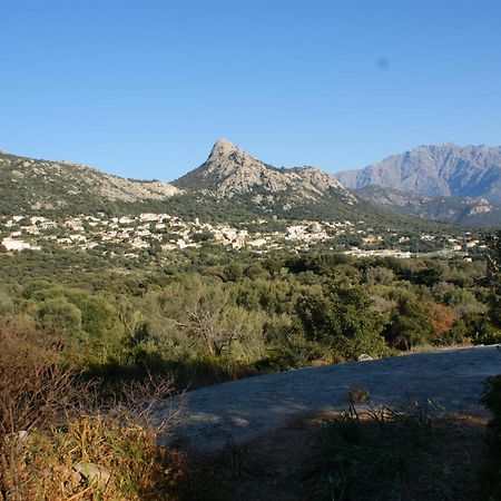 Belle Location Sur Lumio Avec Vue Remarquable Et Jardin Lumio (Corsica) Exterior foto