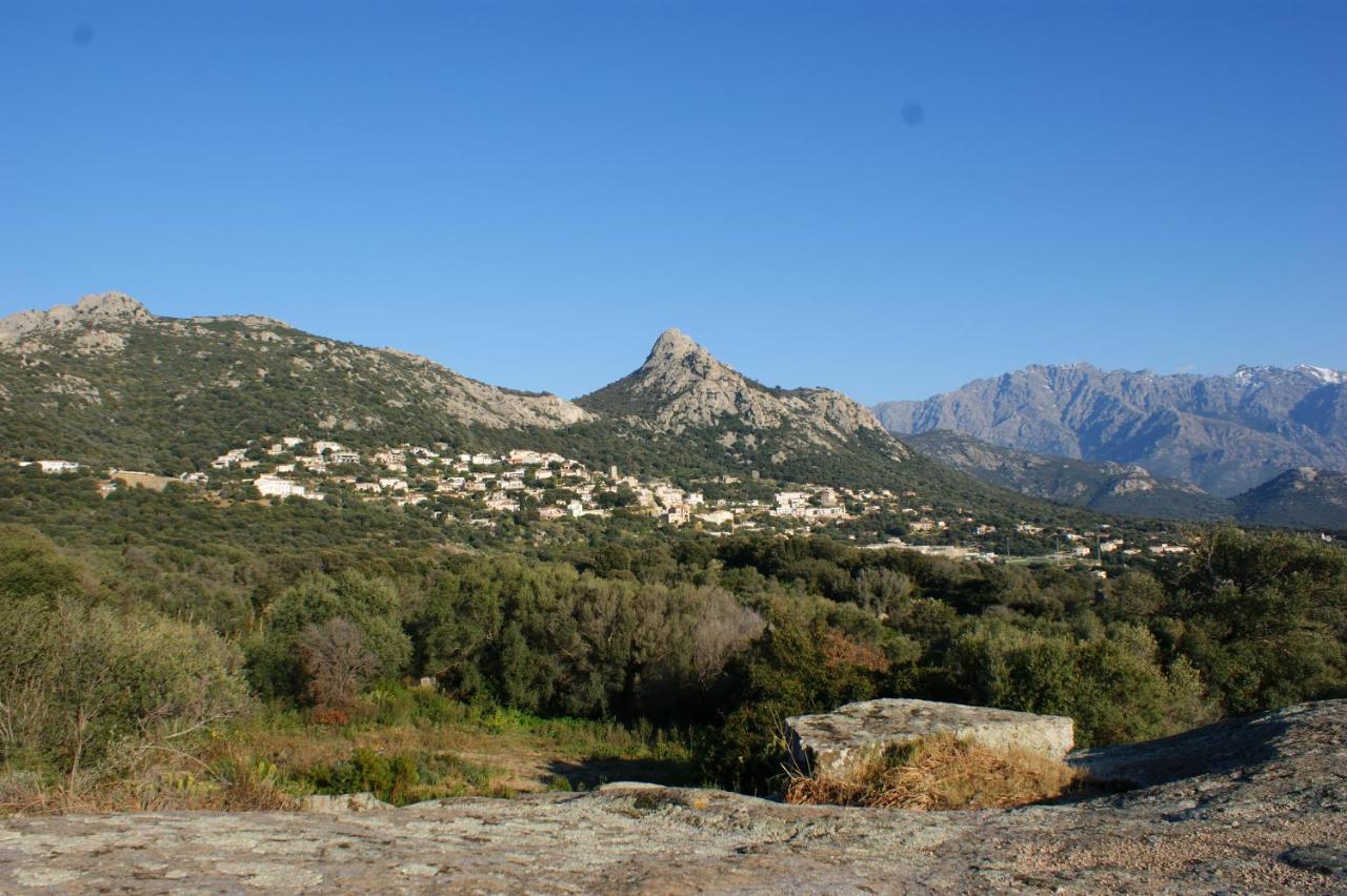 Belle Location Sur Lumio Avec Vue Remarquable Et Jardin Lumio (Corsica) Exterior foto