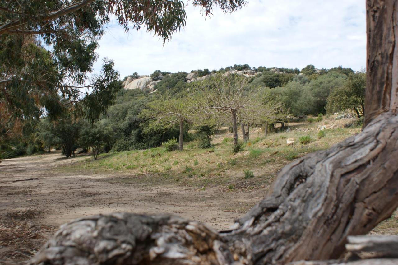 Belle Location Sur Lumio Avec Vue Remarquable Et Jardin Lumio (Corsica) Exterior foto