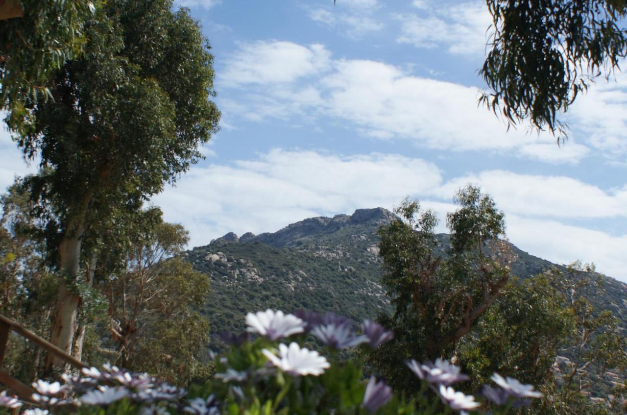 Belle Location Sur Lumio Avec Vue Remarquable Et Jardin Lumio (Corsica) Exterior foto