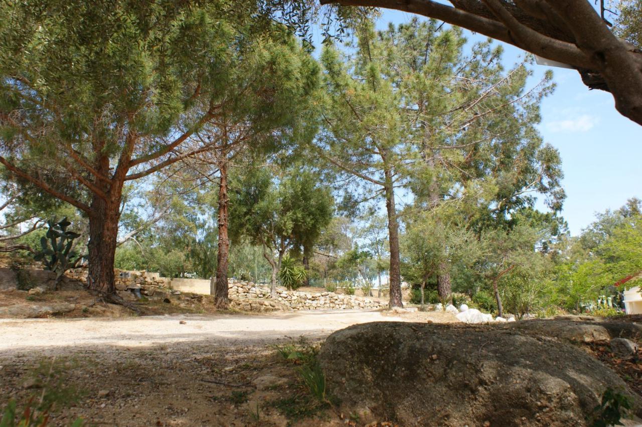 Belle Location Sur Lumio Avec Vue Remarquable Et Jardin Lumio (Corsica) Exterior foto