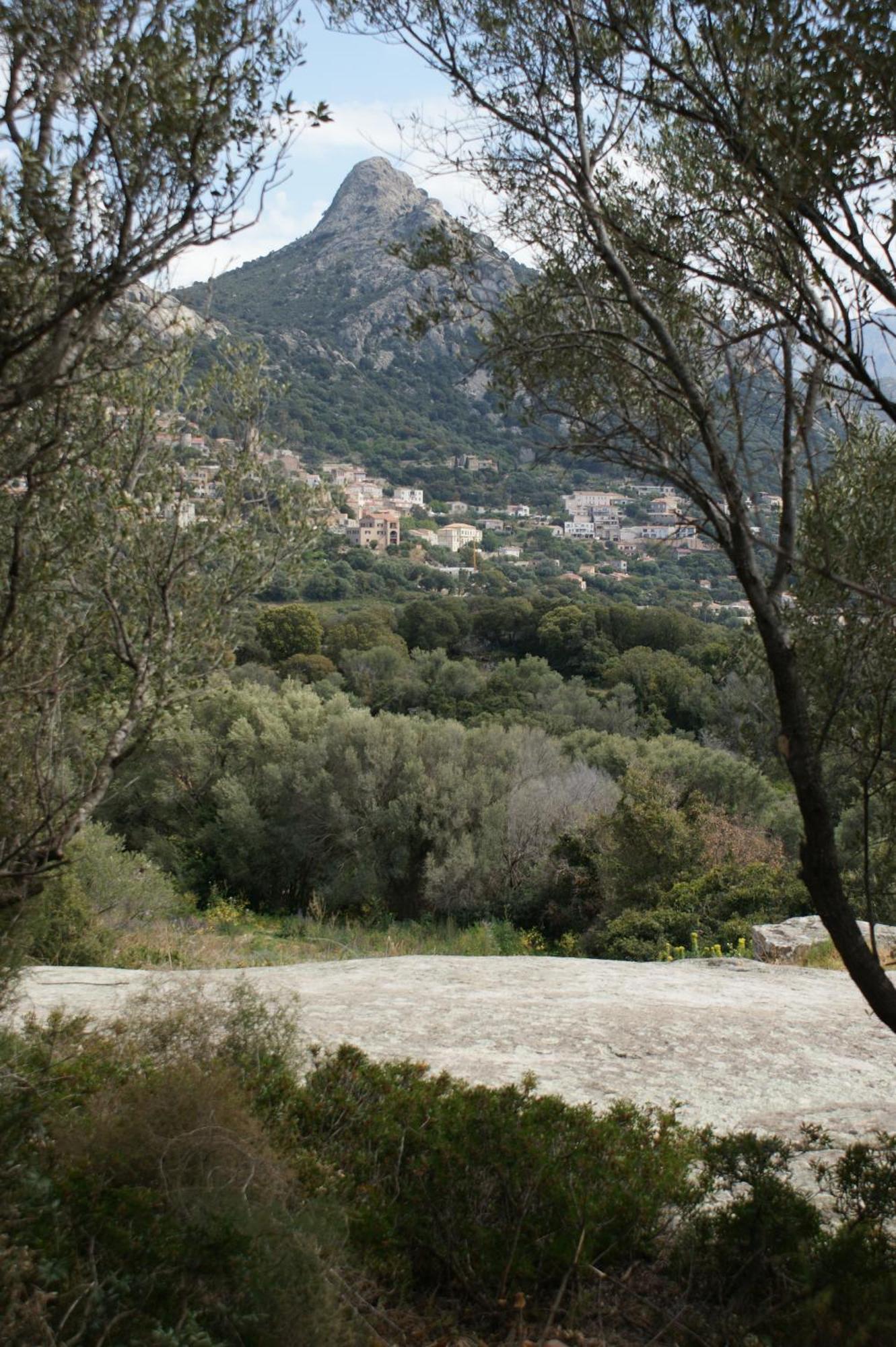 Belle Location Sur Lumio Avec Vue Remarquable Et Jardin Lumio (Corsica) Exterior foto