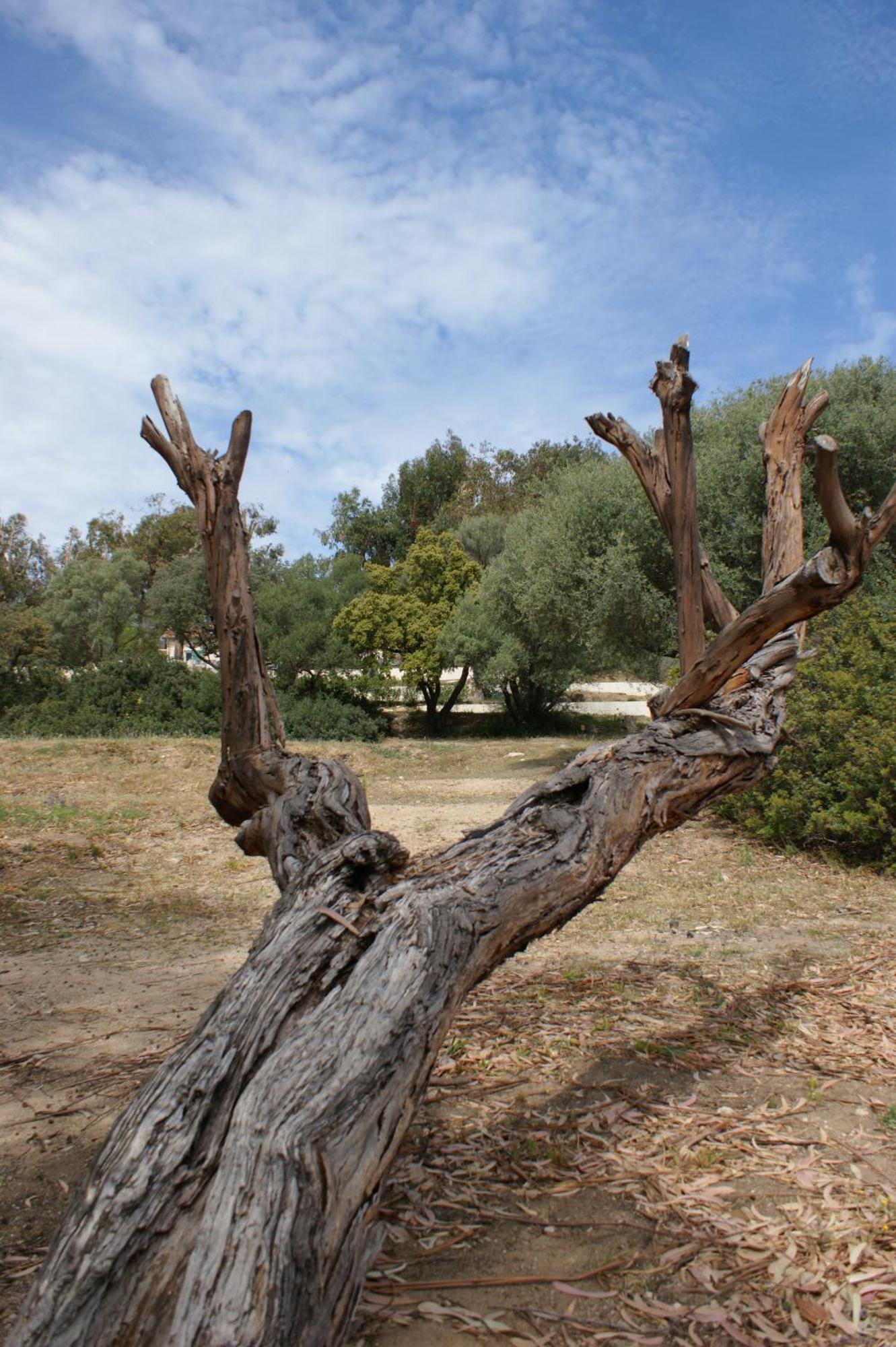 Belle Location Sur Lumio Avec Vue Remarquable Et Jardin Lumio (Corsica) Exterior foto