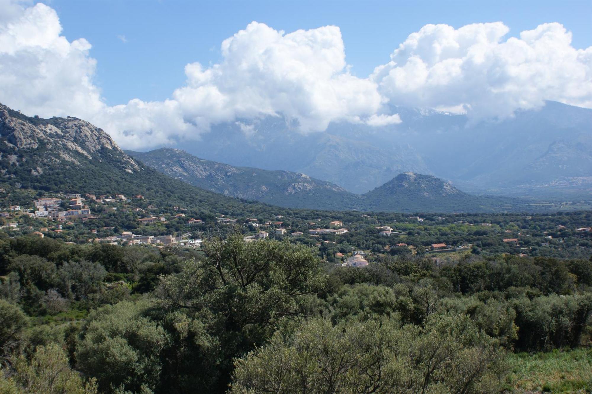 Belle Location Sur Lumio Avec Vue Remarquable Et Jardin Lumio (Corsica) Exterior foto